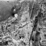 Amphibious tractors go to work on the caves Peleliu