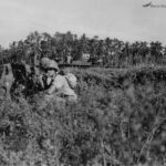 An amphibious tank shortly after it hit the beach on Peleliu