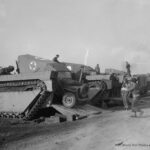 Buffalo during the Rhine crossing