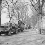 Buffalo during the Rhine crossing