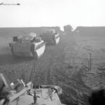 Buffalo during the Rhine crossing