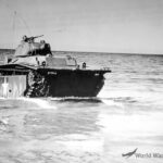 LVT-4 Buffalo with 75mm 1944