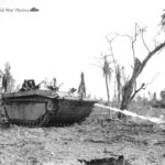 LVT-4 fighting on Peleliu
