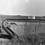 LVT Amphibious in Field