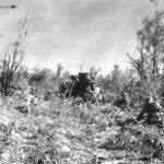 Marines of the 1st Div pinned down mortar fire on Peleliu