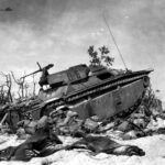 Marines sit by amphibious tractor LVT-4