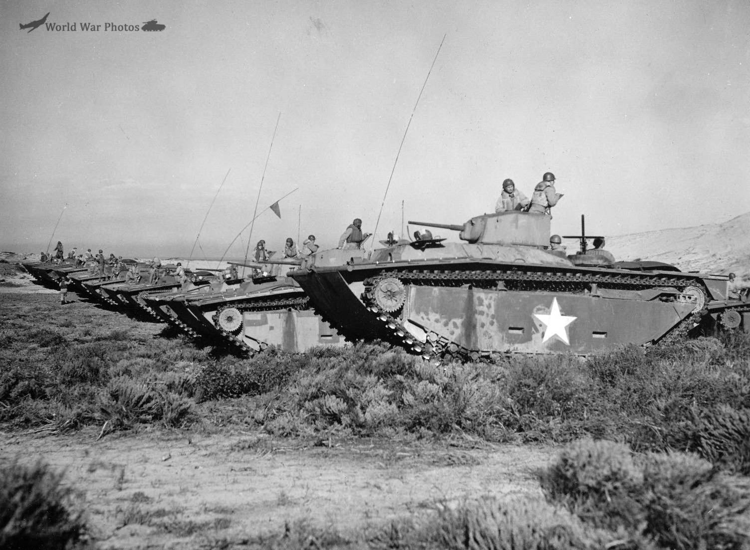 long row of LVTs with crews