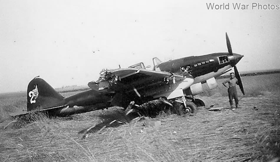 IL-2 „white 2” of the 4 ShAP (4th Assault Aviation Regiment), July 1941
