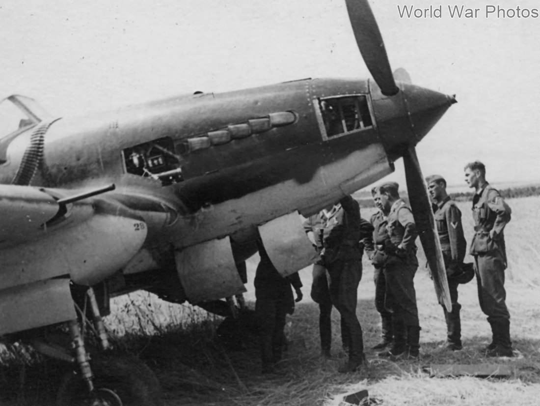 IL-2 of the 4 ShAP (4th Assault Aviation Regiment), July 1941 3