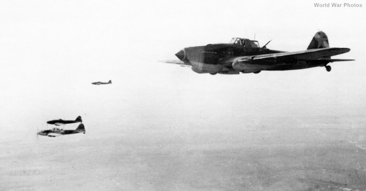 Il-2 Shturmovik of 7 GShaP August 1943