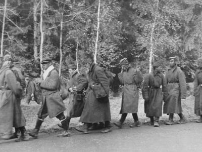 A column of Soviet prisoners of war Wjasma Pocket Russia 1941 2