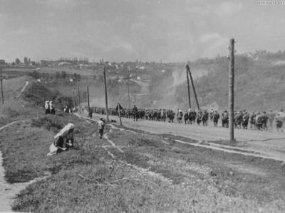 A column of Soviet prisoners of war Wjasma Pocket Russia 1941 3