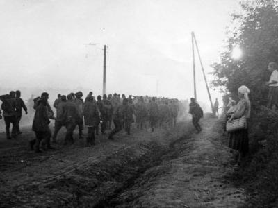 A column of Soviet prisoners of war Wjasma Pocket Russia 1941 4
