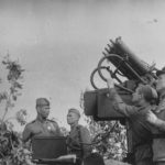 Quadruple Maxim AA MG