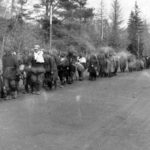A column of Soviet prisoners of war Wjasma Pocket 1941