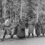A column of Soviet prisoners of war Wjasma Pocket Russia 1941 2