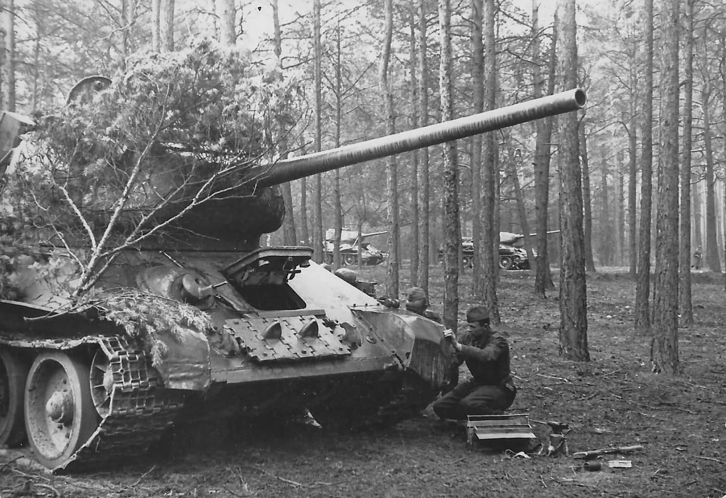 T-34-85 camouflaged in forest 1945