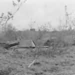 Abandoned T-34 tank in field