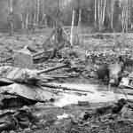 T-34 tank stuck in swamp
