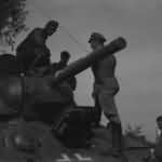 T-34/76 in German Wehrmacht Service 11